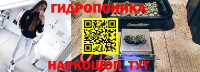 jwh Донецк