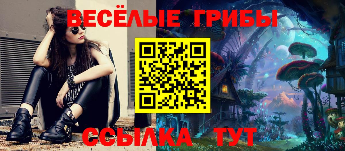 Псилоцибиновые грибы Magic Shrooms  Галлюциногенные грибы Magic Shrooms  Вход с VPN  Магадан 