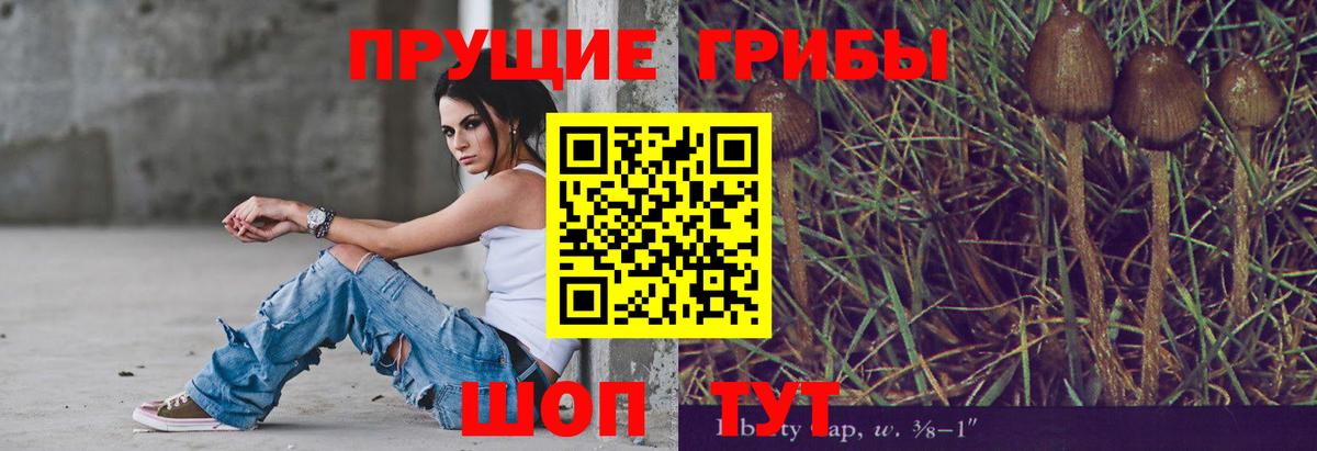 Псилоцибиновые грибы Psilocybe Магадан